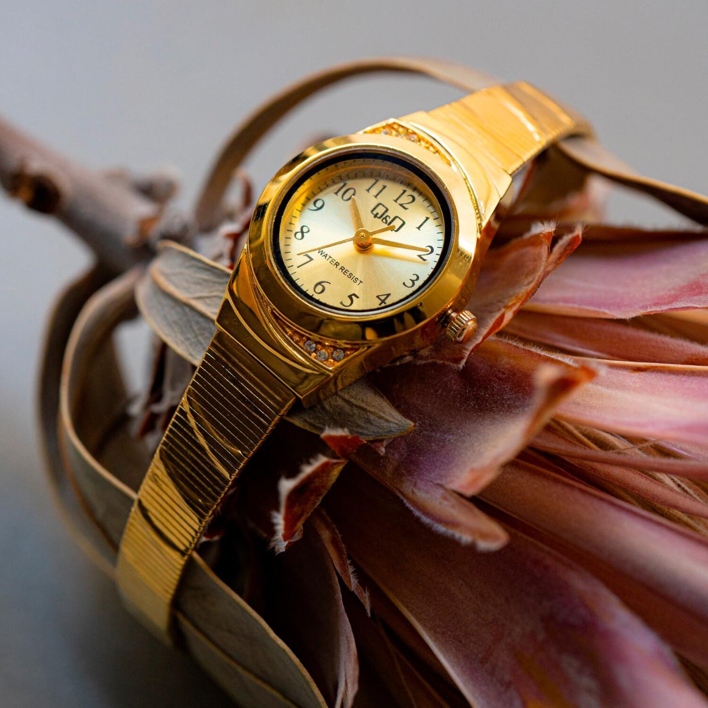 jpg_1500x1500_57059288